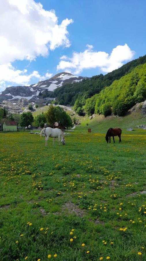 Katun Mokra Accommodation & Horseback Riding Подгорица Екстериор снимка