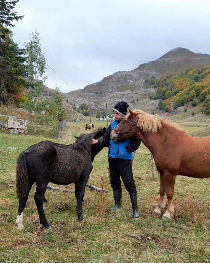 Katun Mokra Accommodation & Horseback Riding Подгорица Екстериор снимка