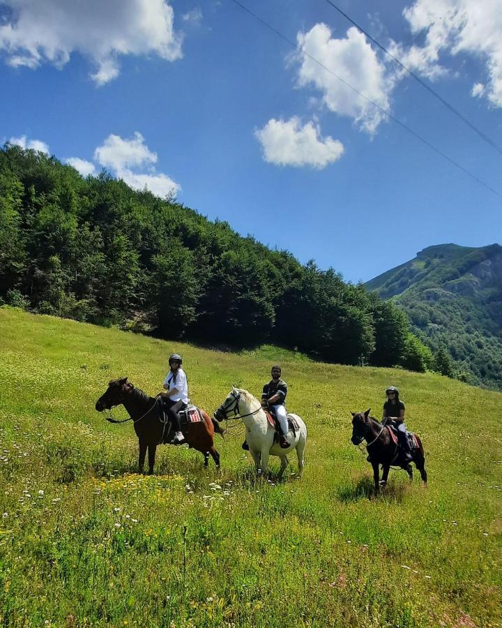 Katun Mokra Accommodation & Horseback Riding Подгорица Екстериор снимка