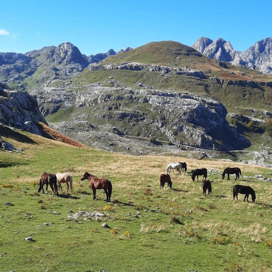 Katun Mokra Accommodation & Horseback Riding Подгорица Екстериор снимка